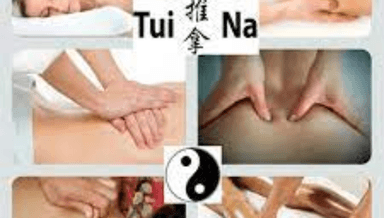 Image for TuiNa - Chinese Traditional Treatment Tui-Na Muscle Therapy 